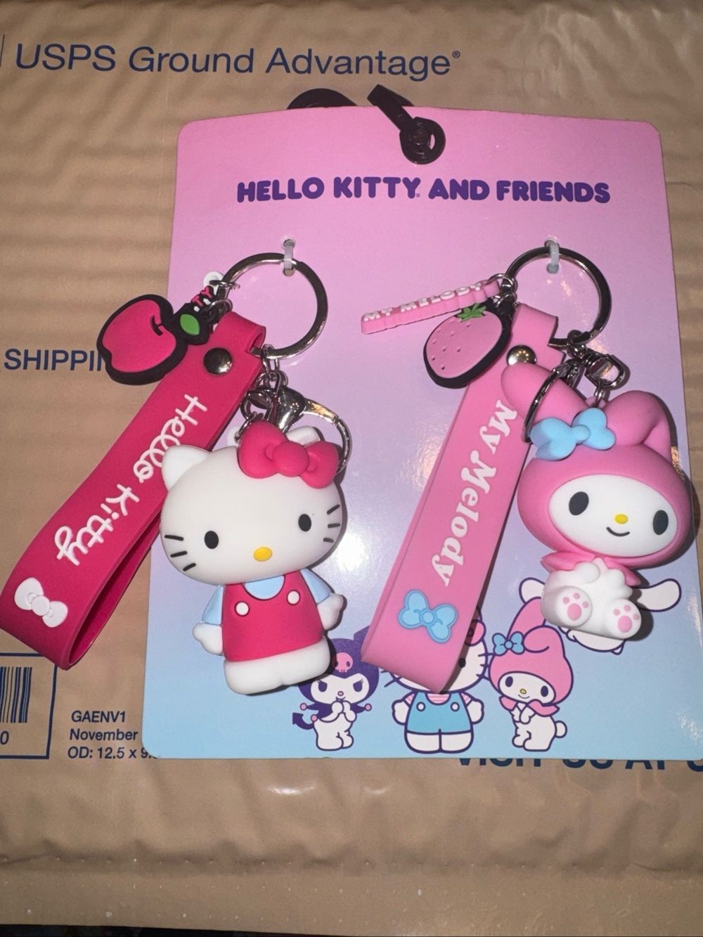 Sanrio Hello Kitty & My Melody Pink Key & Card Holder Charms
